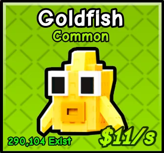 Goldfish pet card