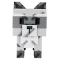 Raccoon