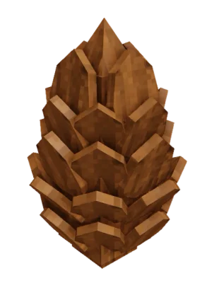 Conifer Cone