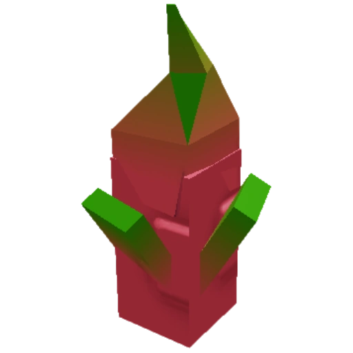Dragon Fruit