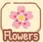 Flowers theme in Designs