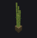 Bamboo Tree