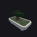 Bonsai Plant