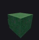 Bush