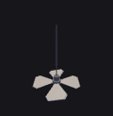 Ceiling Fan