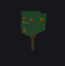 Orange Tree