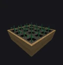 Seedling Tray